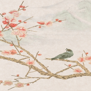 花鸟系列